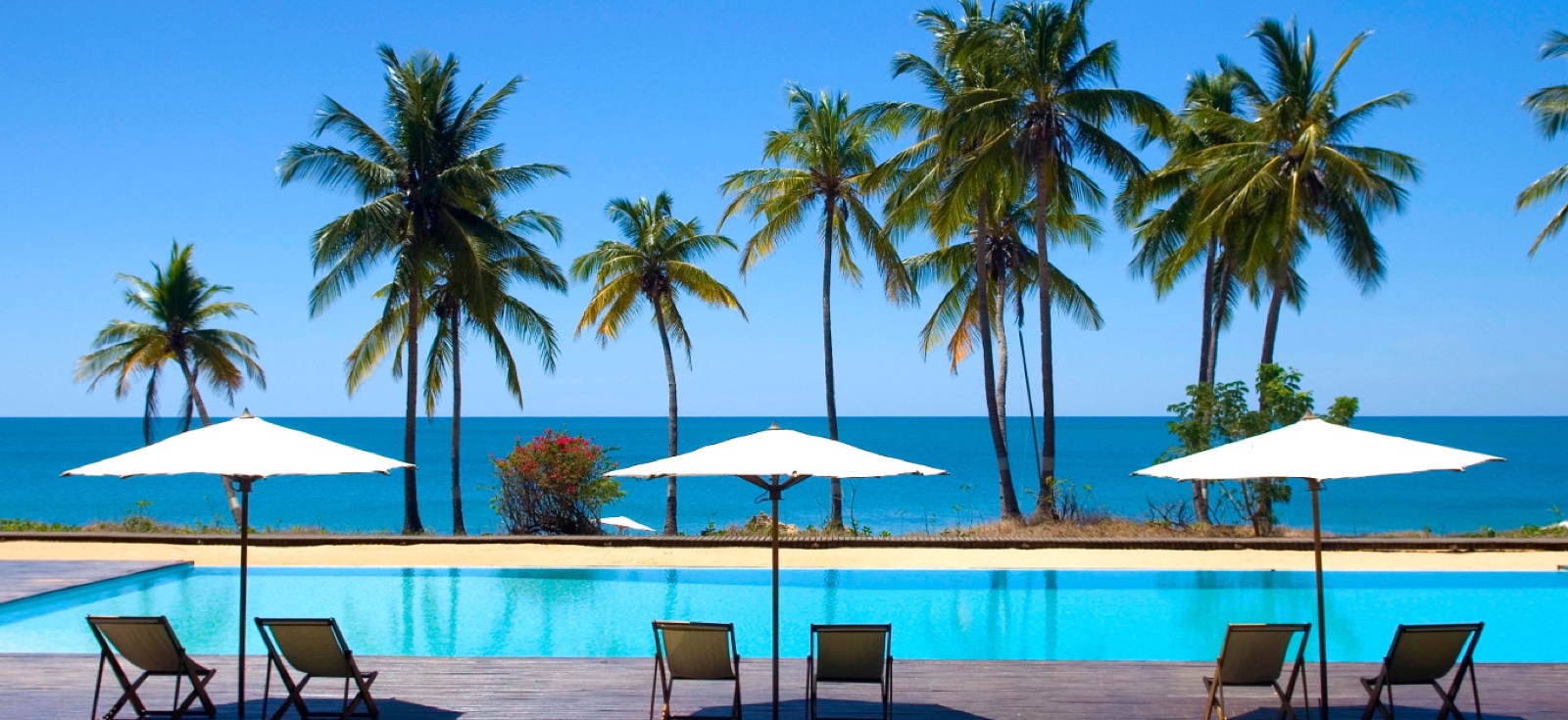 Piscina infinita con palmeras frente al océano índico en una propiedad de lujo de Madagascar
