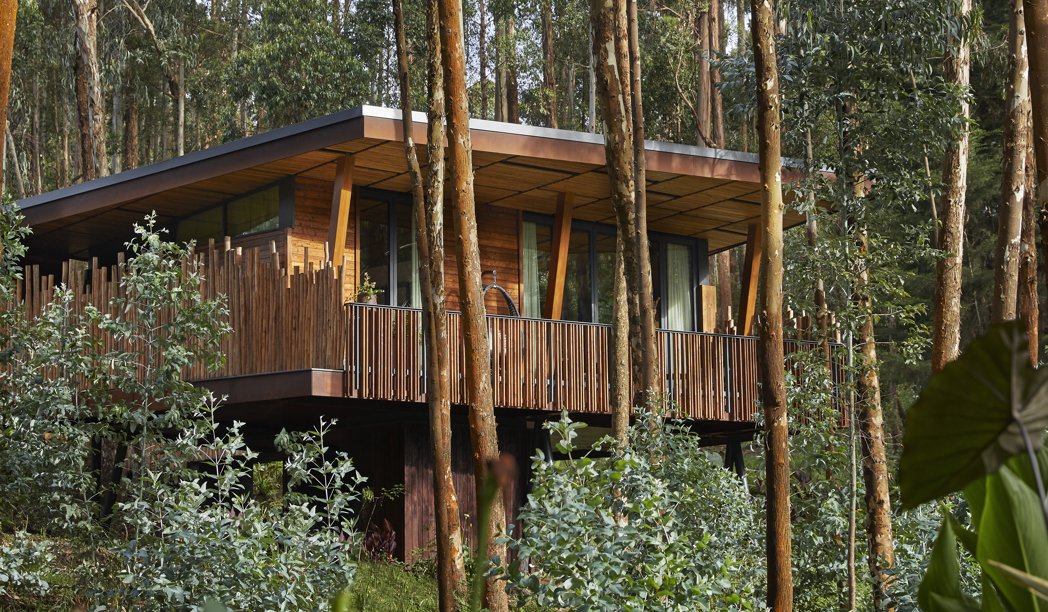 Villa de madera elevada entre eucaliptos en el One&Only Gorilla's Nest, Volcanoes National Park, Ruanda